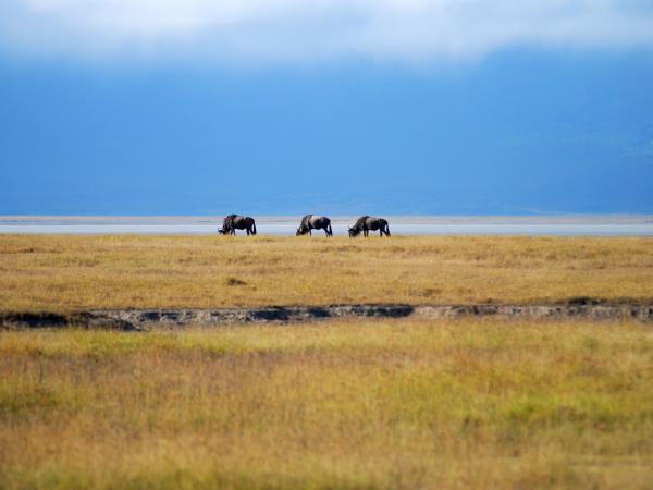 Nairobi to Harare overland tour, 41 days
