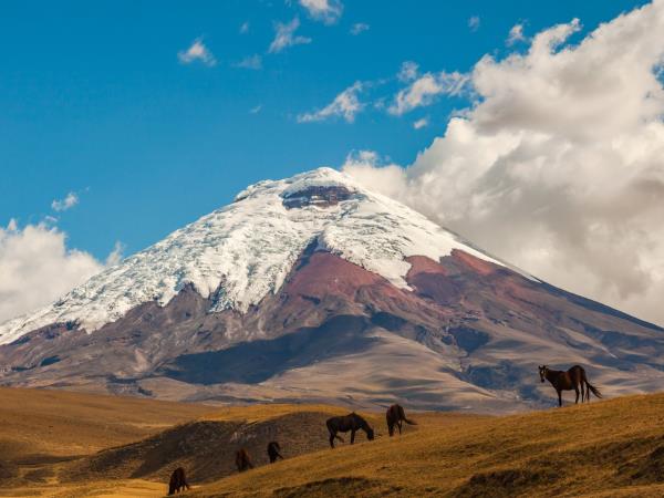 Ecuador traditional hacienda vacation
