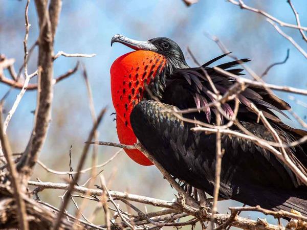 Galapagos 4 day island hopping tour