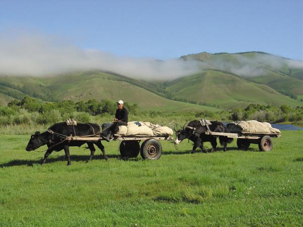 Mongolia tours, small group