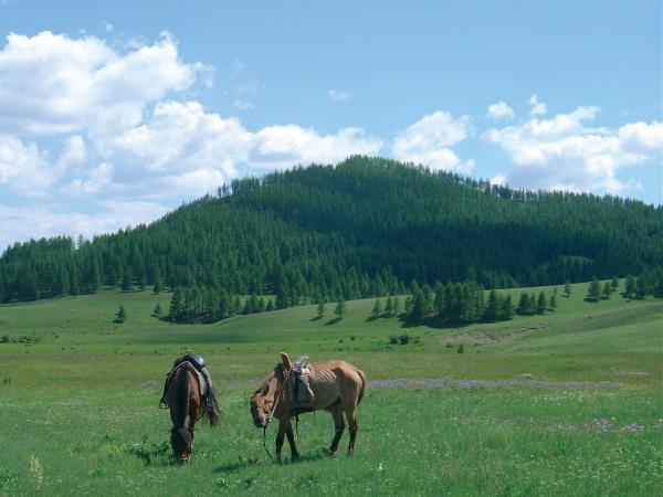 Mongolia tours, small group