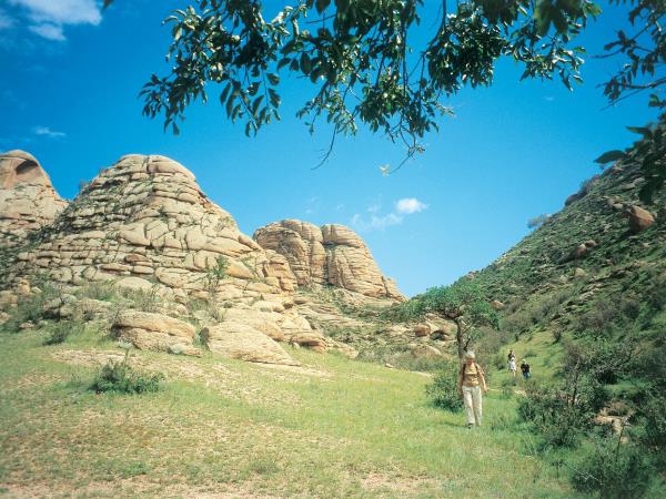 Mongolia tours, small group