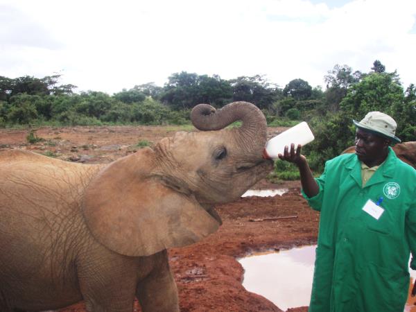 Nairobi To Victoria Falls overland tour, 53 days