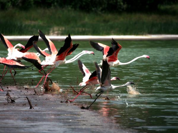 Nairobi To Victoria Falls overland tour, 53 days
