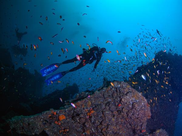 Underwater photography holiday in South Africa