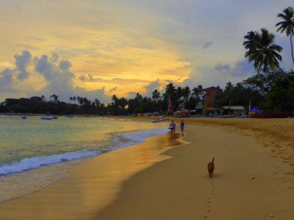Sri Lanka 14 day small group tour