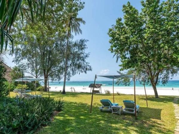 Kenya's big five safari and beach honeymoon
