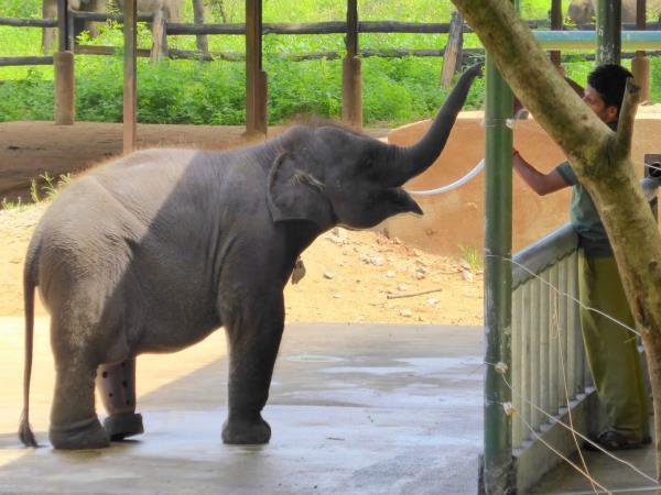 Sri Lanka small group local tour
