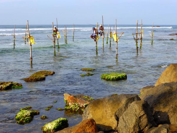 Sri Lanka small group local tour