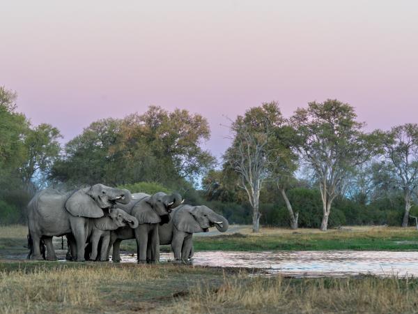 Zimbabwe and Botswana Wildlife Safari