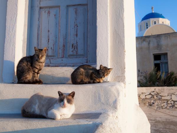 Cyclades islands tailor made tour