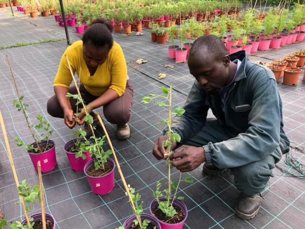 Sustainable farming vacation in Italy