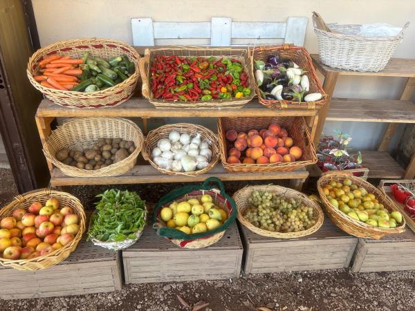 Sustainable farming vacation in Italy