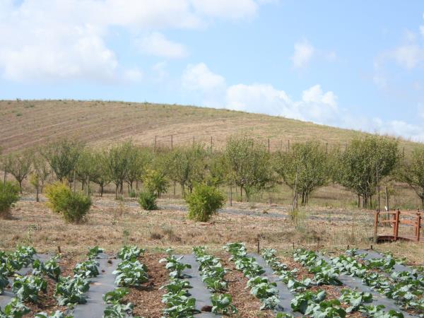 Sustainable farming vacation in Italy