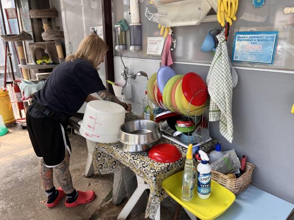 Animal welfare and cat rescue in Italy