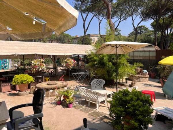 Animal welfare and cat rescue in Italy
