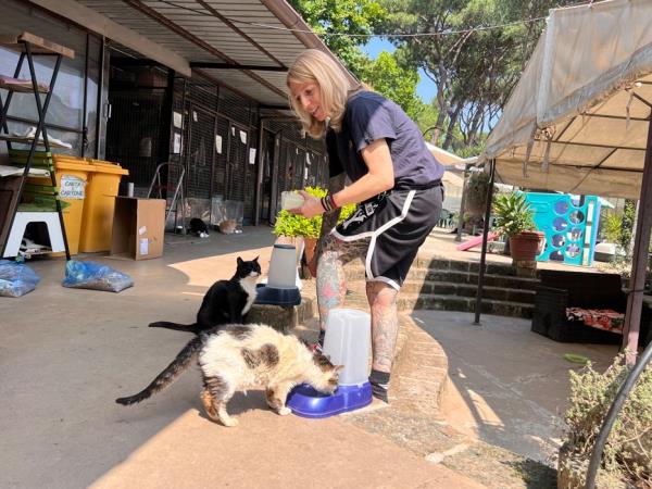 Animal welfare and cat rescue in Italy