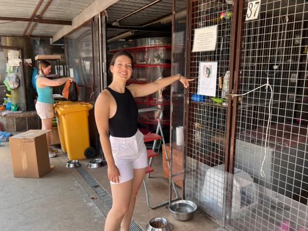 Animal welfare and cat rescue in Italy