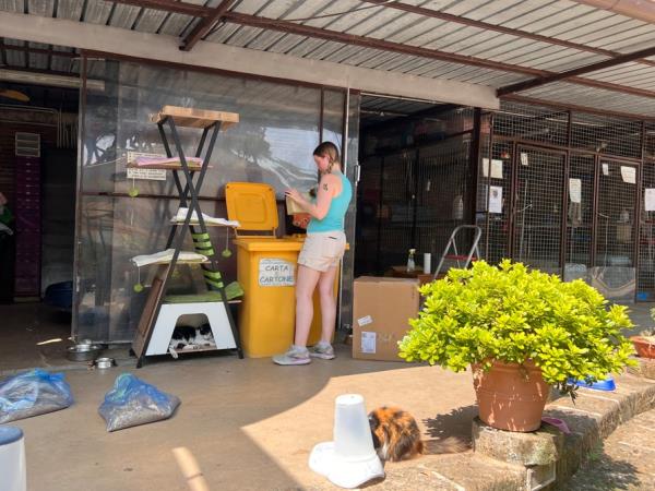 Animal welfare and cat rescue in Italy