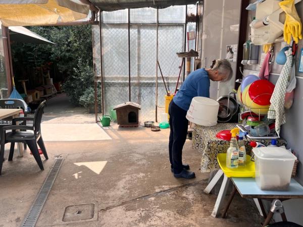 Animal welfare and cat rescue in Italy