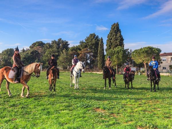 Luxury culinary cycling tour in Istria, Croatia