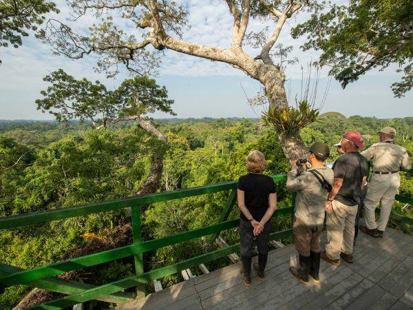 Amazon Rainforest luxury wildlife lodge, Ecuador