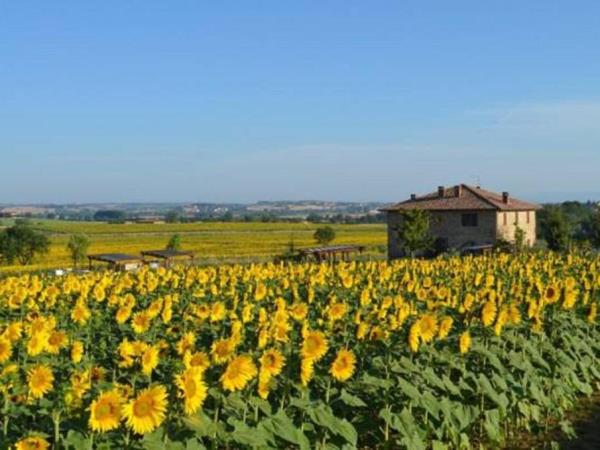 Tuscany culture vacation, tailor-made