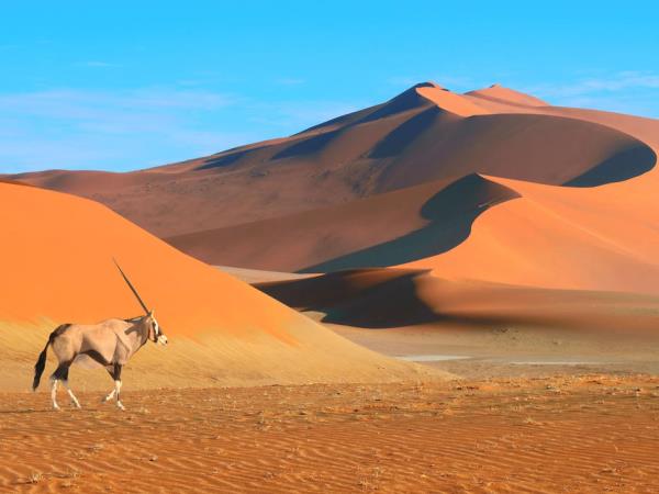 Namibia self drive adventure