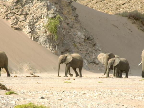 Namibia self drive adventure