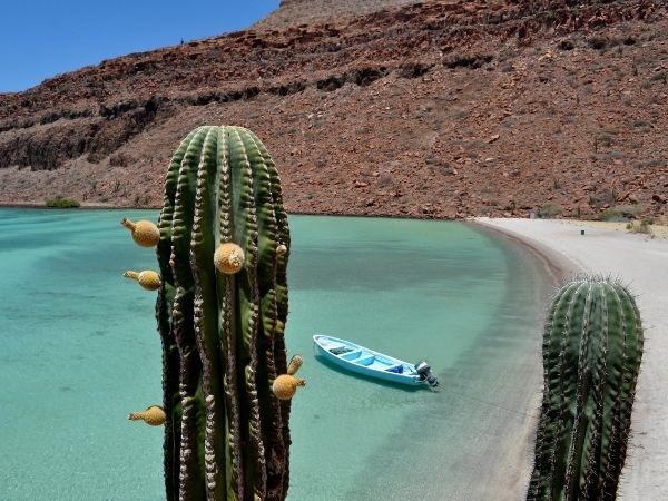 Baja California self drive vacation