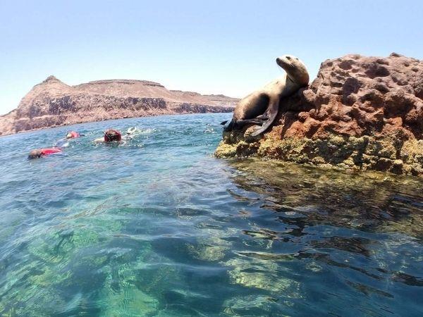 Baja California self drive vacation