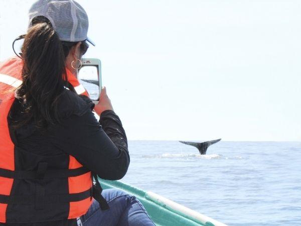 Baja California self drive vacation