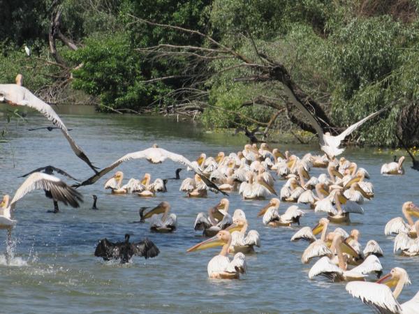 Romania's natural wonders vacation, small group