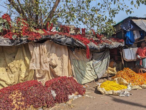 Hooghly and Sundarbans river cruise in India