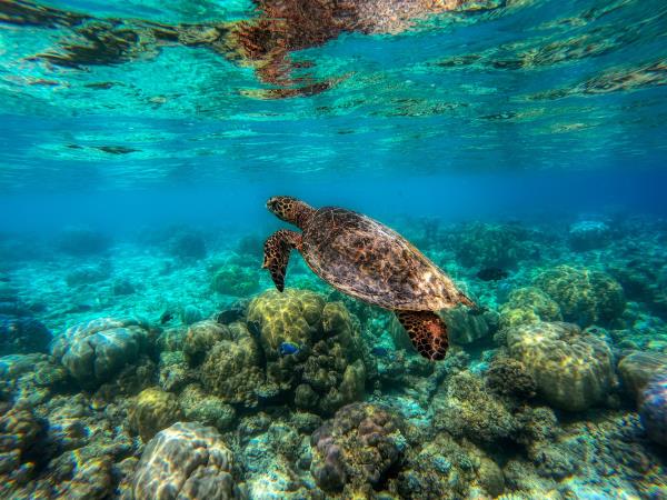 Maldives cultural experience vacation