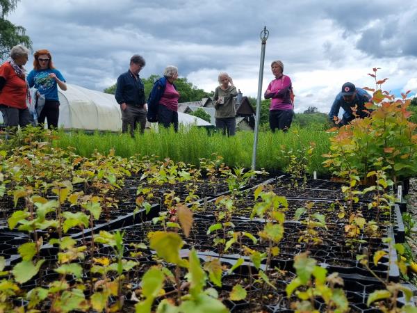 Rewilding holiday in Cairngorms