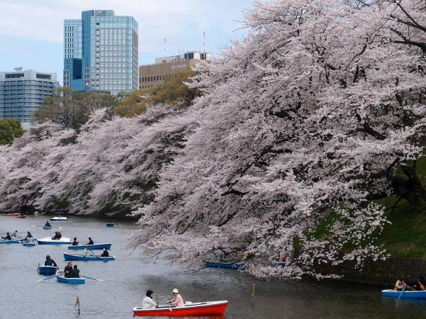 Japan tour of Honshu island