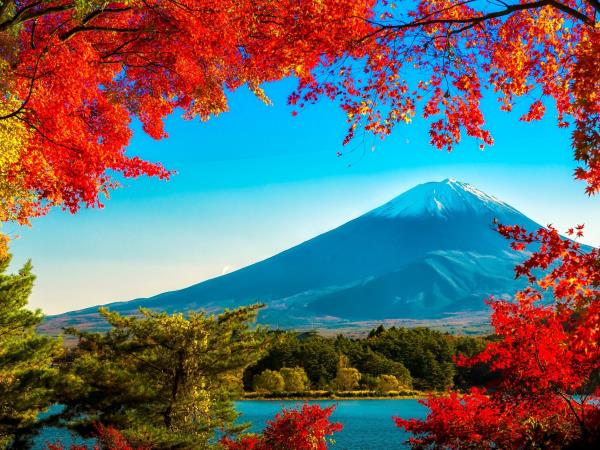 Japan tour of Honshu island