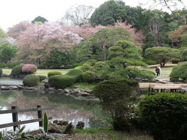 Japan tour of Honshu island