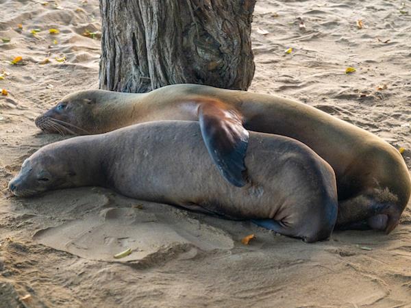 Galapagos active adventure tour, land based