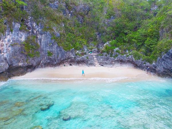 Swim with whales in the South Pacific
