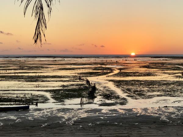 Pulau Rote island vacation in Indonesia