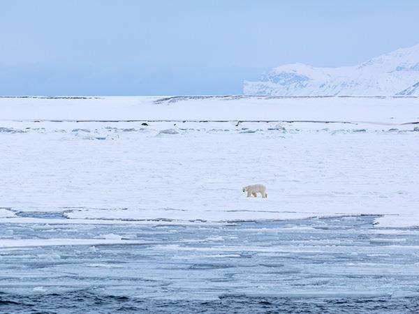 11 Day Introduction to Spitsbergen vacation