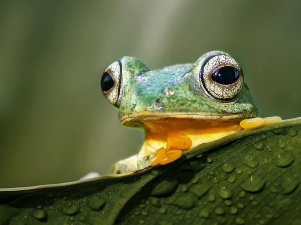 Borneo off the beaten track vacation