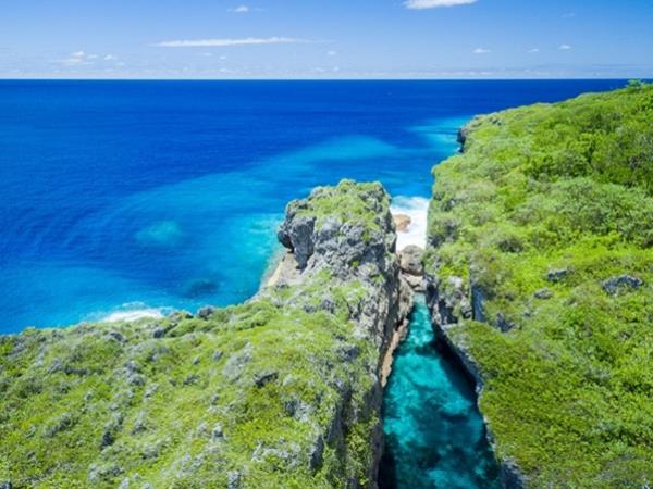 Swim with whales in the South Pacific