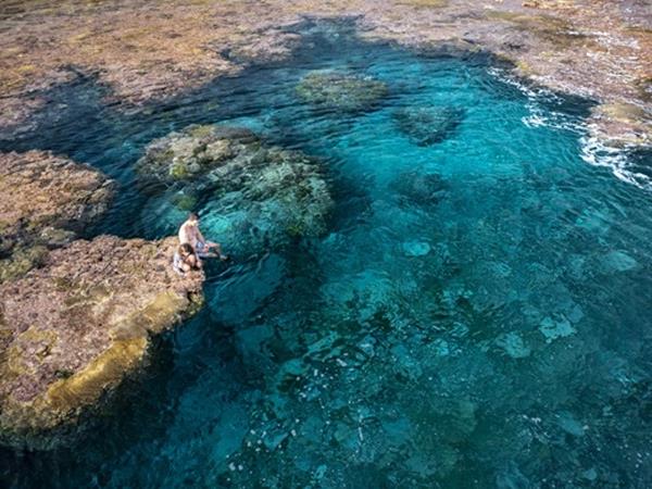 Swim with whales in the South Pacific