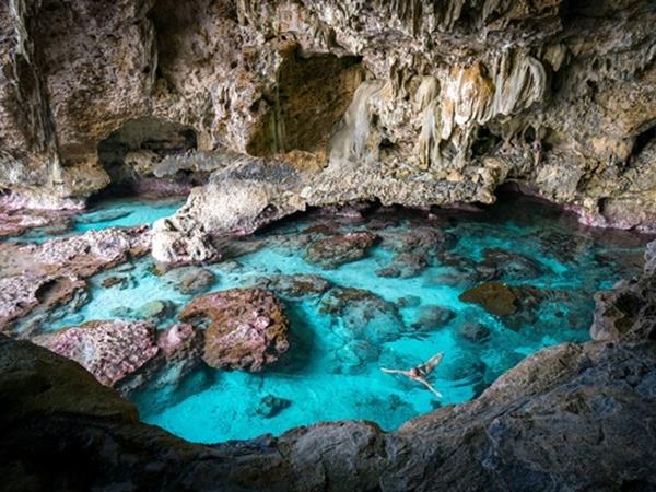 Swim with whales in the South Pacific