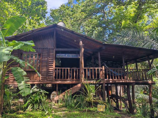 Volunteer with sea turtles in Costa Rica