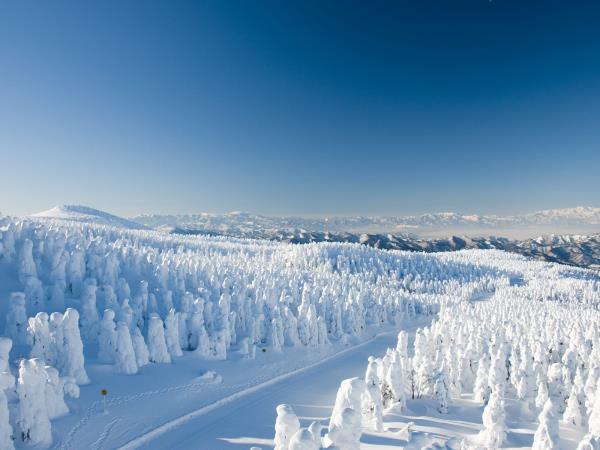 Japan luxury ski vacation