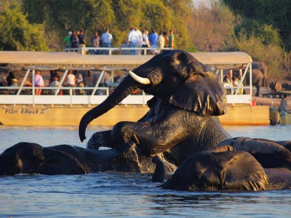 Chobe and Okavango Delta safari in Botswana